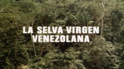 El hombre y la Tierra