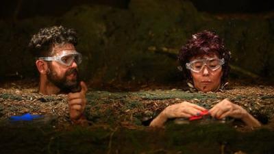 I'm a Celebrity...Get Me Out of Here!