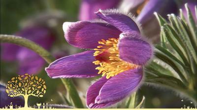 Gardeners' World