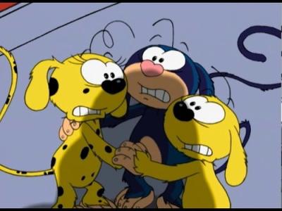 Marsupilami