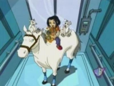 Jackie Chan Adventures