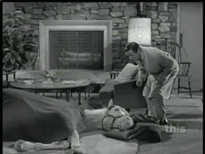 Mister Ed
