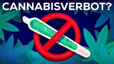 Kurzgesagt - In a Nutshell