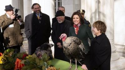 Veep