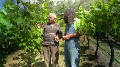 Gardening Australia