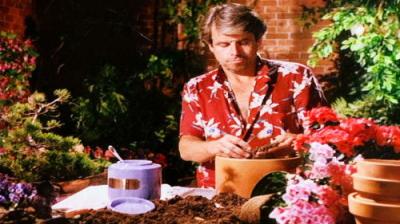 Knots Landing