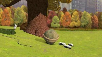 Madagaskaro pingvinai