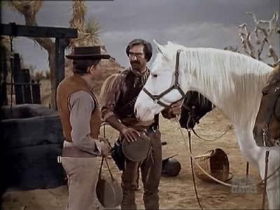 Bonanza
