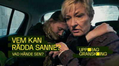 Uppdrag granskning sommar