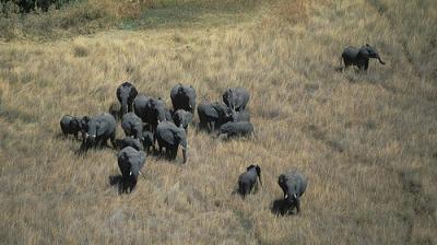 Nature