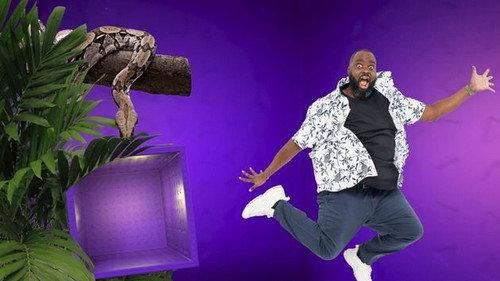 Les 100 vidéos qui ont fait rire le monde entier filmas žiurėti online