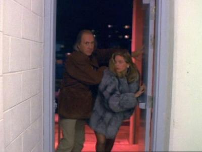 Kung Fu: The Legend Continues