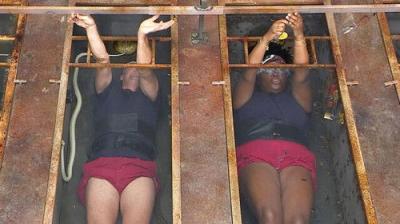 I'm a Celebrity...Get Me Out of Here!