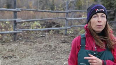 Dr. Oakley, Yukon Vet