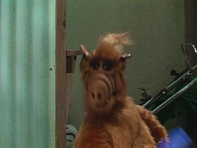 ALF