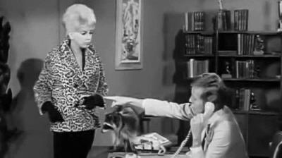 The Beverly Hillbillies