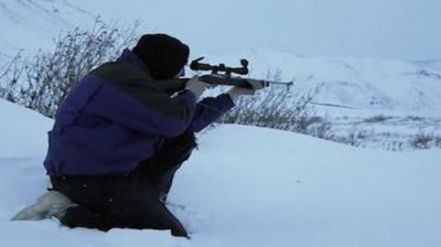 Life Below Zero
