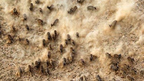 China's Wild Secrets filmas žiurėti online