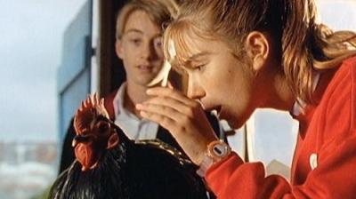 Round the Twist