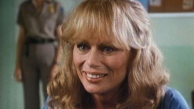 Falcon Crest