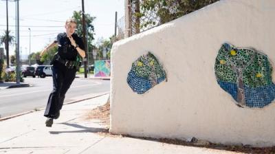 Bošas. Naujas skyrius