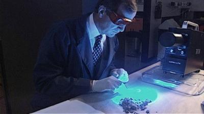 The New Detectives