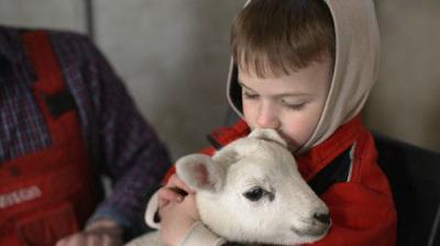Fletchers' Family Farm