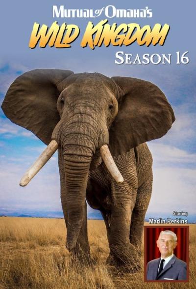 Mutual of Omaha's Wild Kingdom filmas online