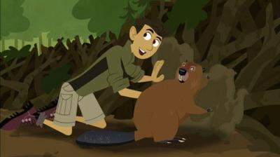 Wild Kratts