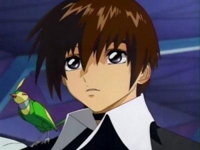 機動戦士ガンダムSEED