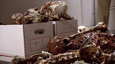 Your Pretty Face Is Going to Hell