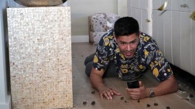 Privatus detektyvas Magnumas