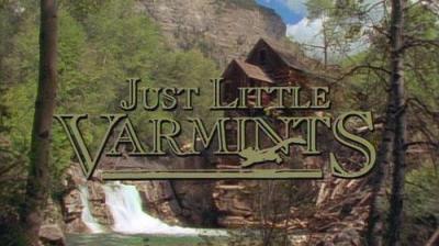 Marty Stouffer's Wild America