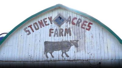 Wisconsin Foodie
