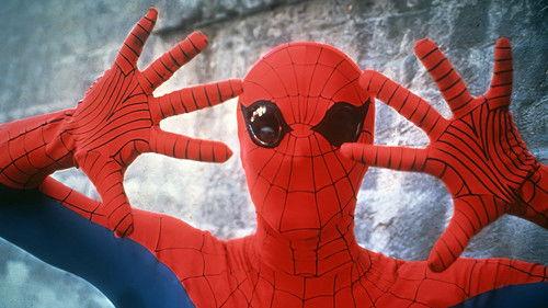 The Amazing Spider-Man filmas žiurėti online