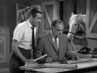 Mister Ed