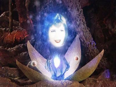 Lexx