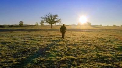 L'amour est dans le pré
