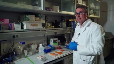 Equipo de investigación