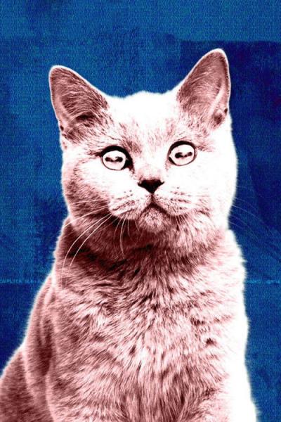 Off the Air filmas online