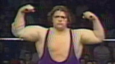WWF All-Star Wrestling