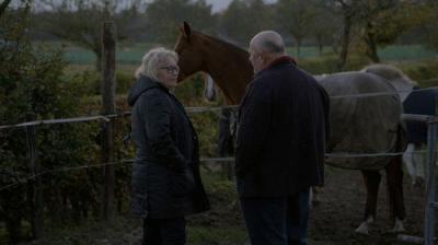 Boer zoekt Vrouw