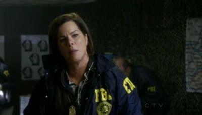 Įstatymas ir tvarka. Specialiųjų tyrimų skyrius