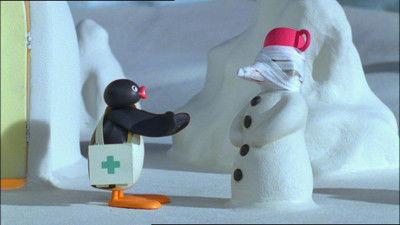 Pingu