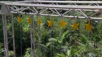I'm a Celebrity...Get Me Out of Here!