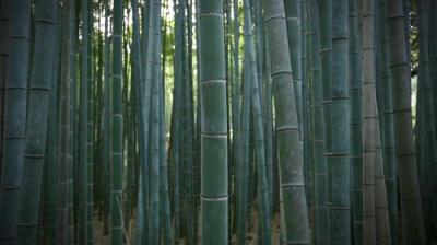 Core Kyoto