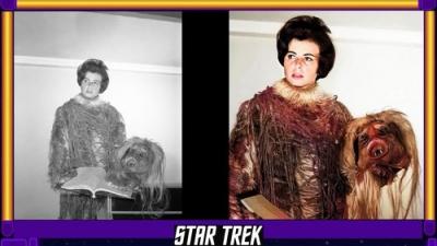 A Captain's Log