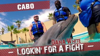 Dana White: Lookin' for a Fight