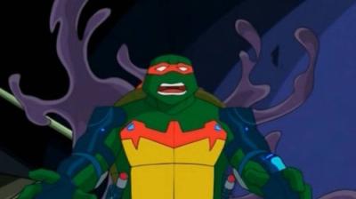 Teenage Mutant Ninja Turtles