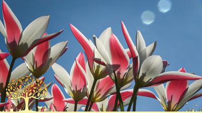 Gardeners' World